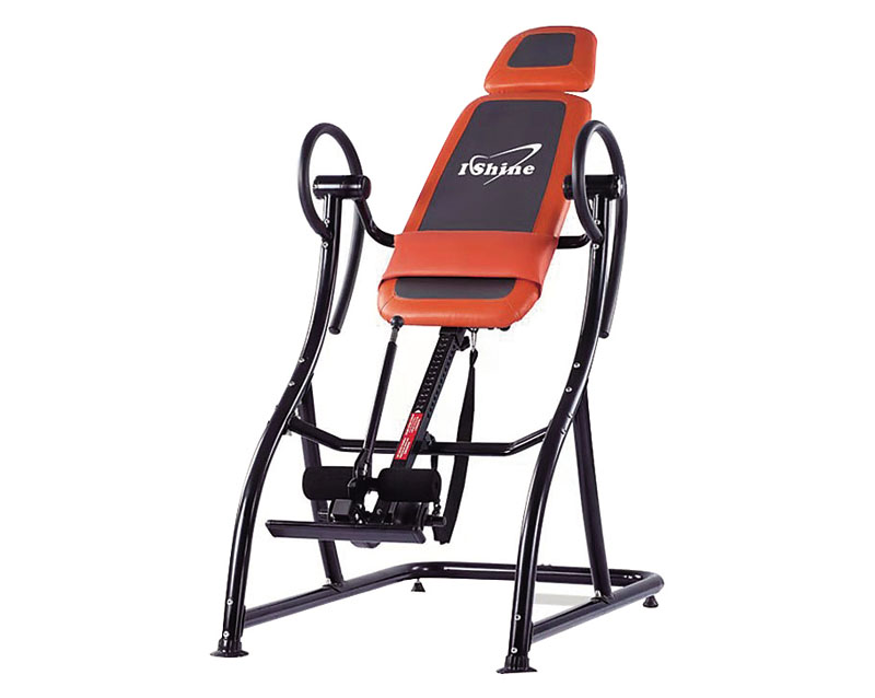 Ishine DL3 倒立機